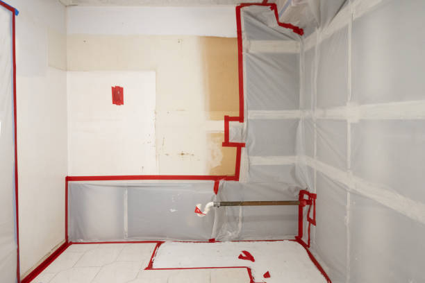 Best Forensic Mold Investigation  in Chico, CA